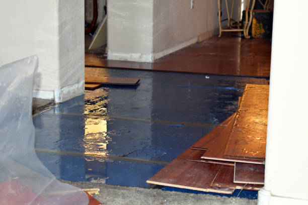 Professional Basement Flood Cleanup technician working in Hartford, IL